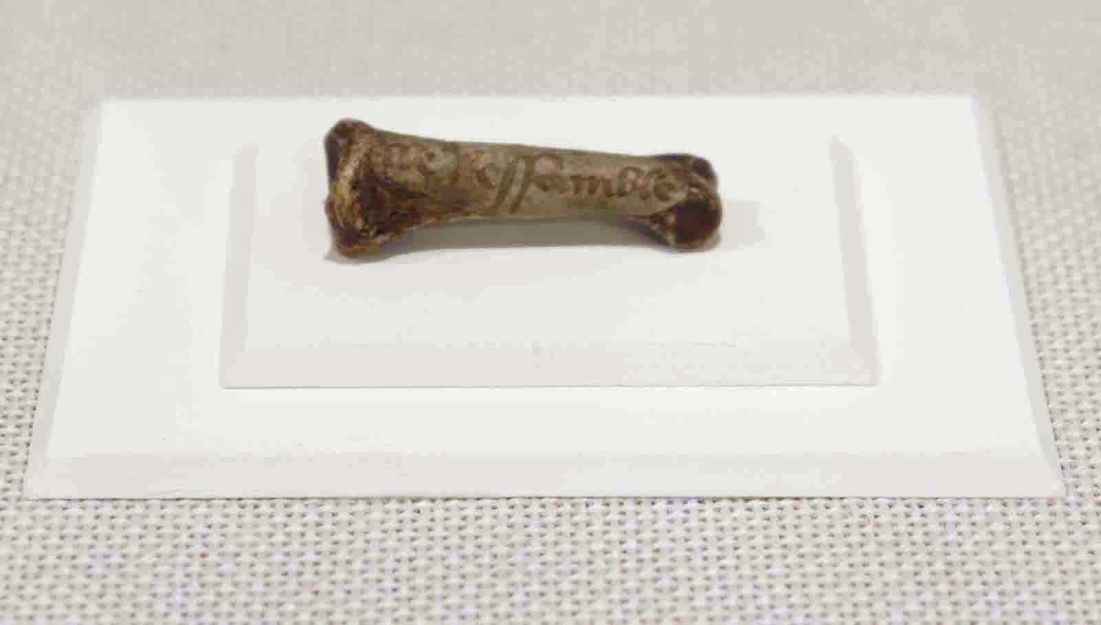 A small parchment fragment pasted to an unknown saint’s finger bone