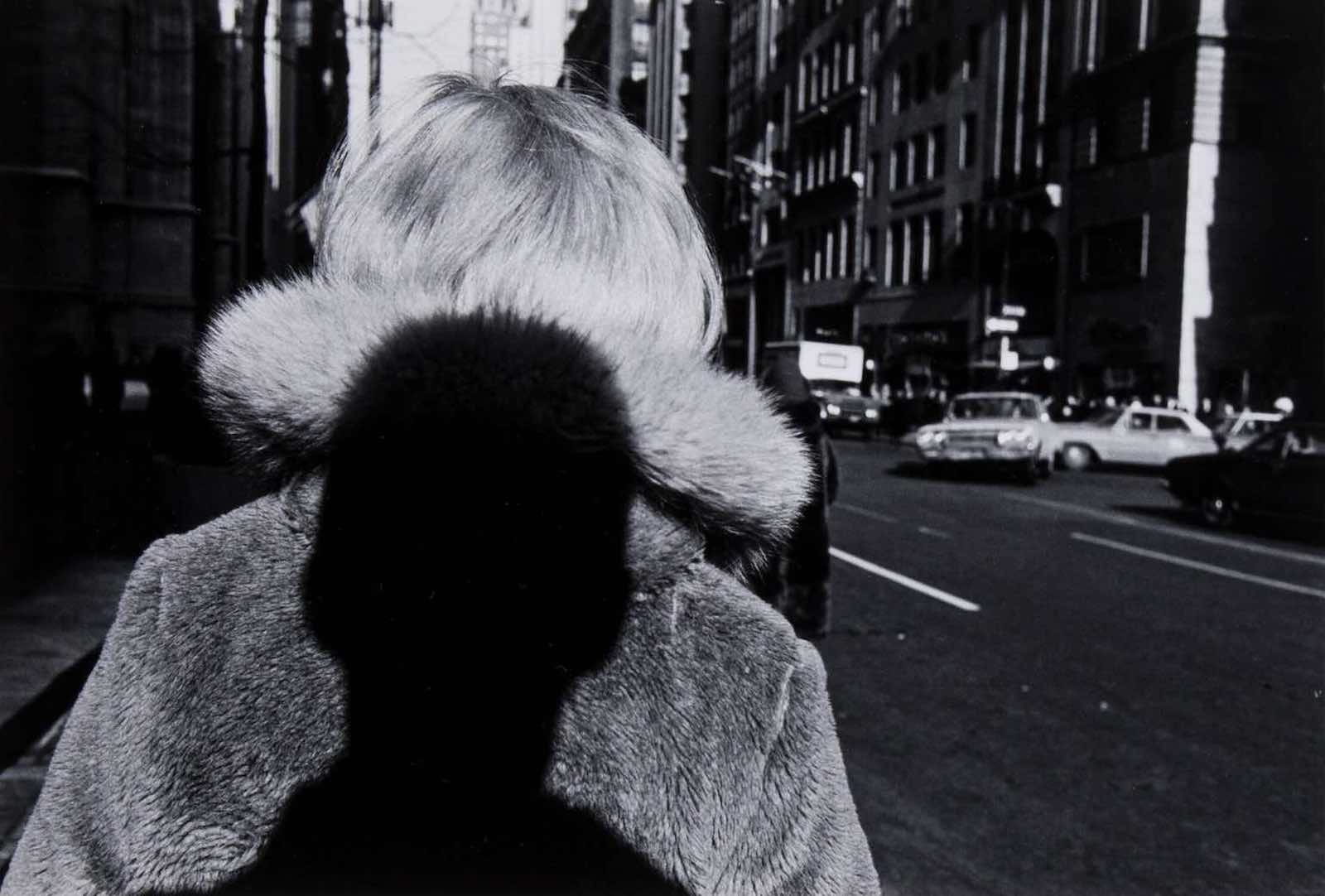 Lee Friedlander's 15 Photographs