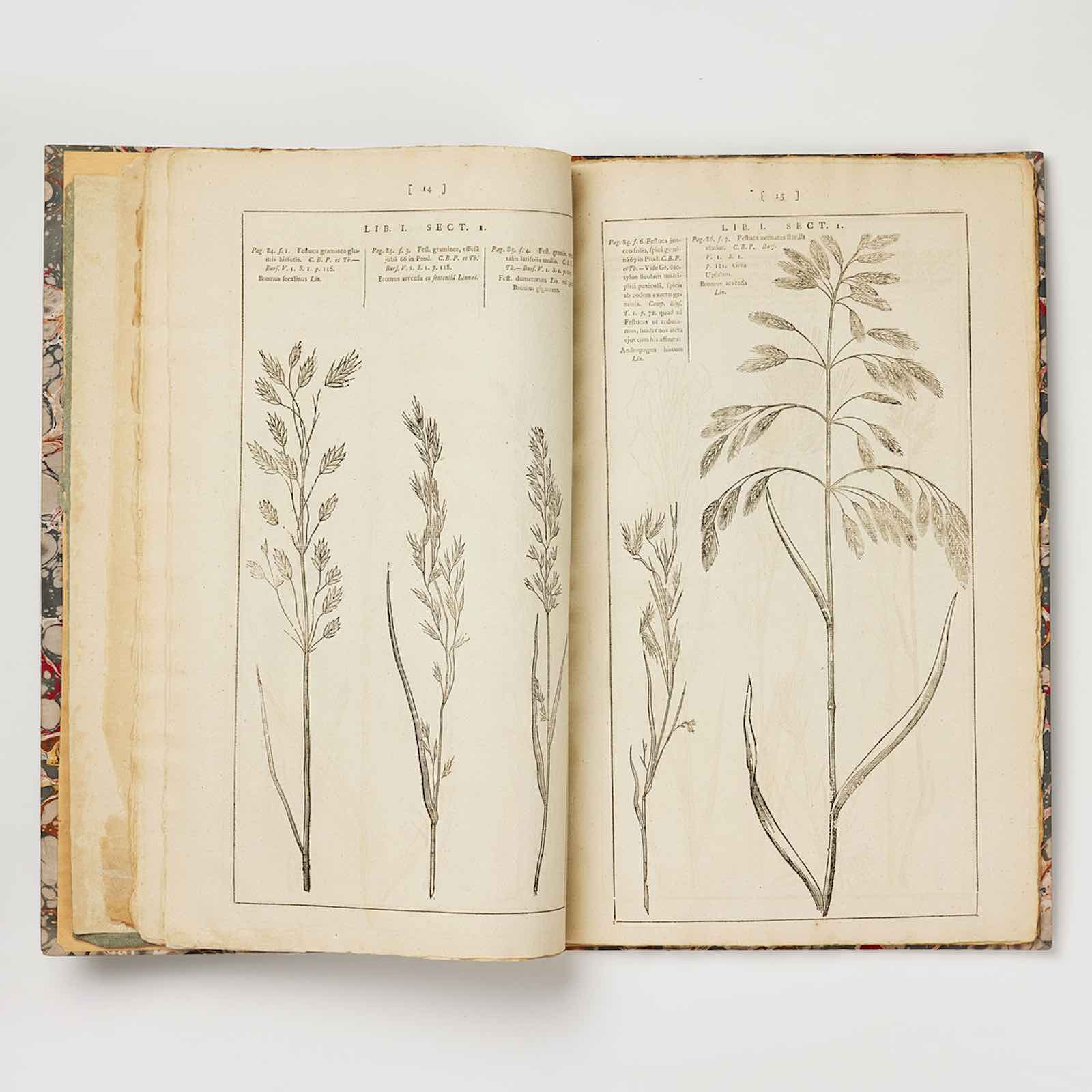 Camporum Elysiorum, Olof Rudbeck, 3rd ed. London, 1789