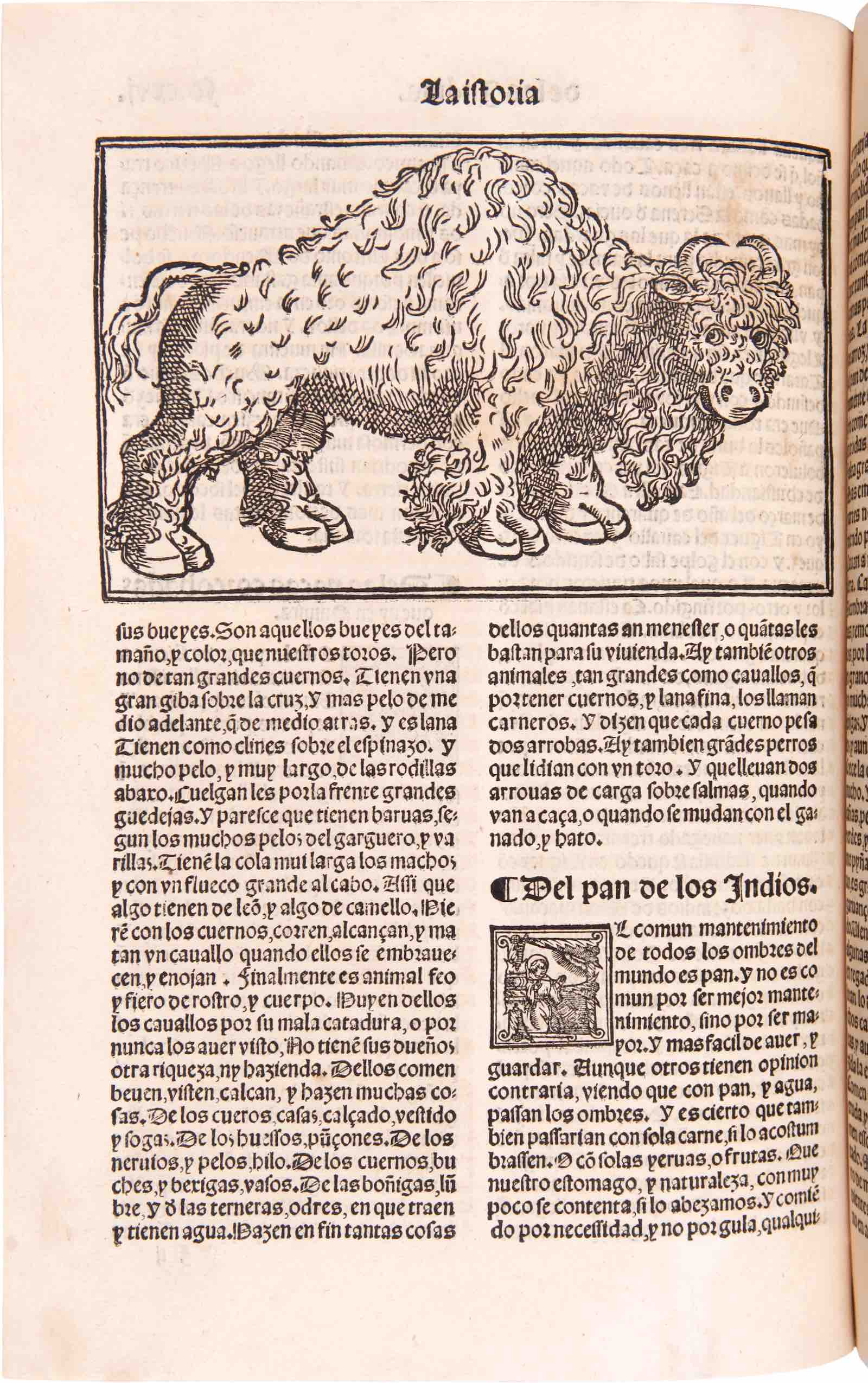 Primera y segunda parte dela historia general de las Indias con todo el descubrimiento y coas nota bles que han acaccido dende que se ganaron ata el ano de 1551. Con la co[n]quista de Mexico y de la Nueva Espana. by Francisco López de Gomára (1553)