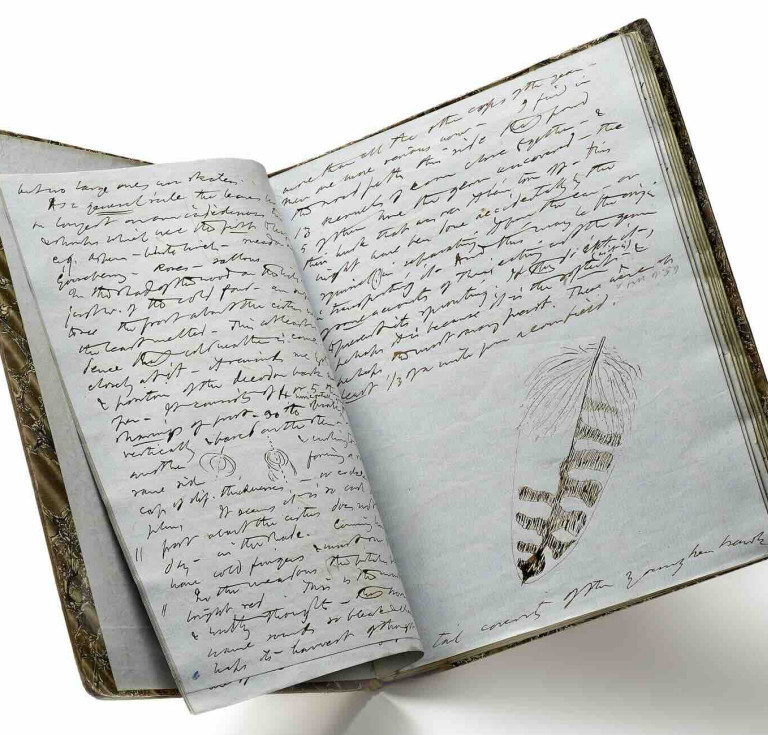 Henry David Thoreau's Journal, November 9, 1858-April 7, 1859
